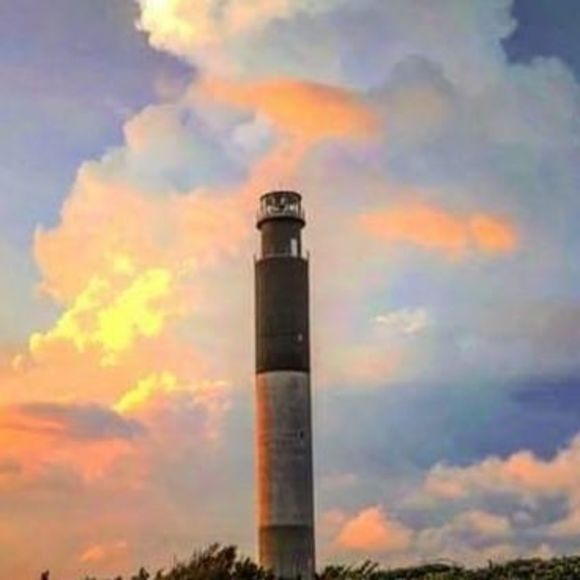 Meet your Posher, David - Picture 1 of 1